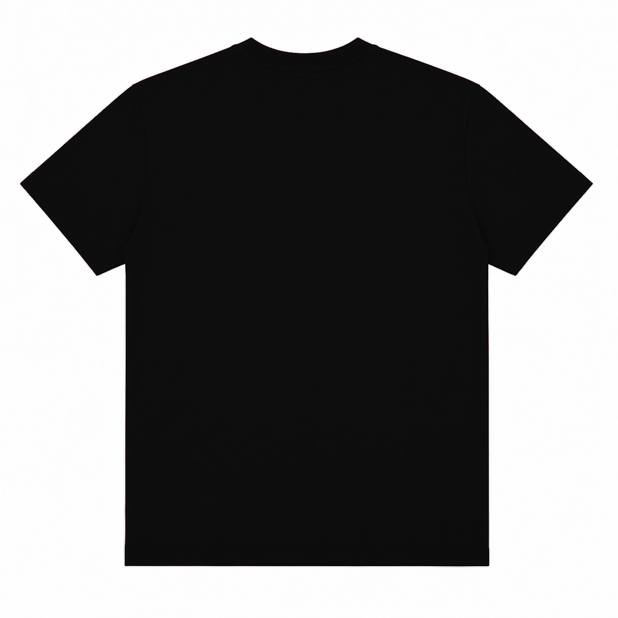 Image of Basic T-shirts